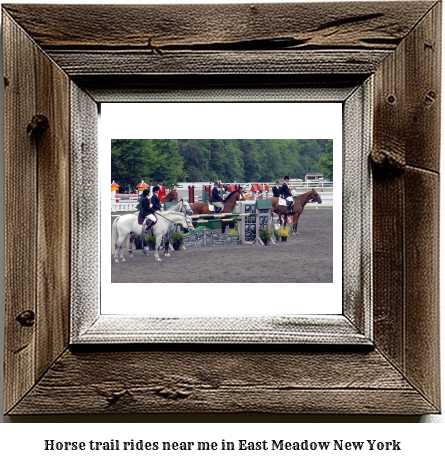 horse trail rides near me in East Meadow, New York